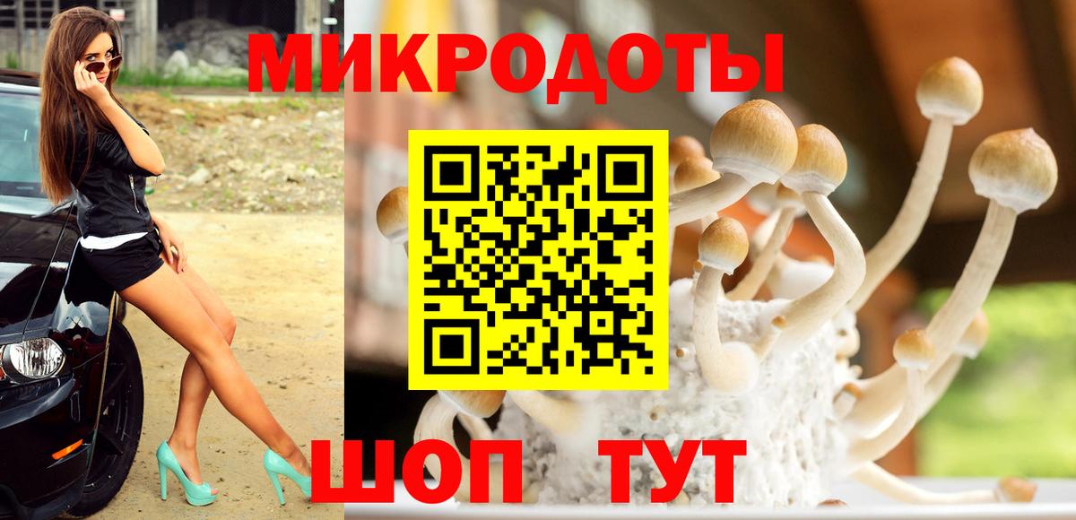 Галлюциногенные грибы Magic Shrooms Алушта