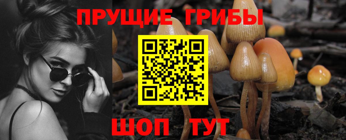 Алушта  Галлюциногенные грибы мухоморы  Галлюциногенные грибы прущие грибы  Вход с VPN 